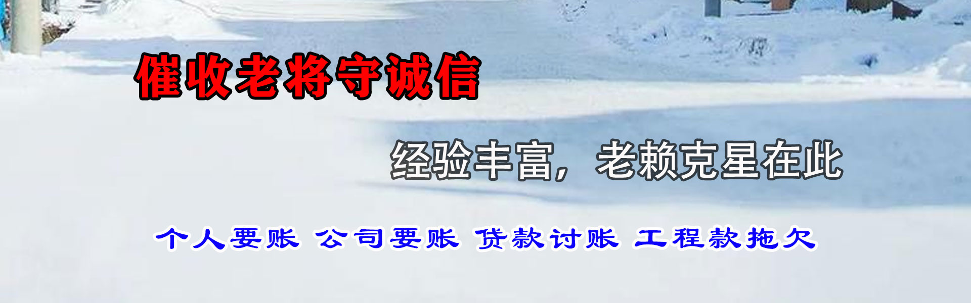 宝丰要债公司